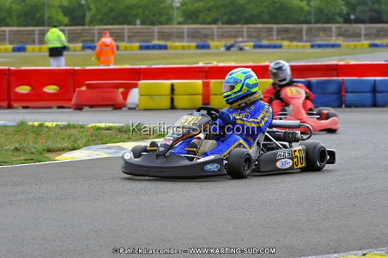 DSC_ (1240).jpg